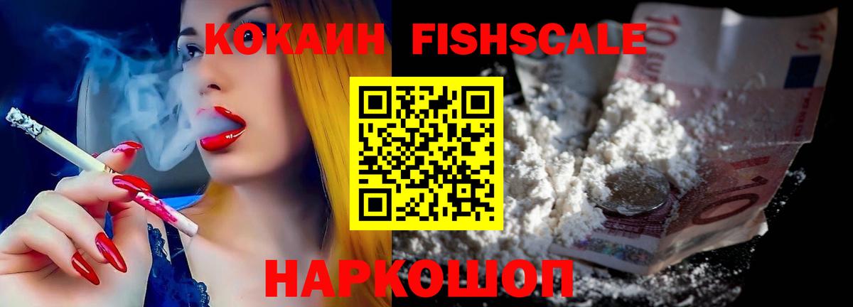 магазин продажи наркотиков  Cocaine Fish Scale  Барнаул  Вход с VPN  COCAIN Эквадор 