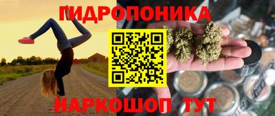 гашик Волжск