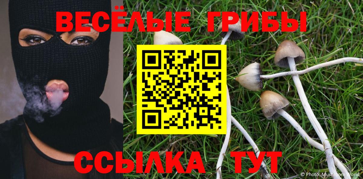 Галлюциногенные грибы Psilocybine cubensis Барнаул
